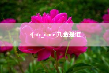 宁夏九金是谁