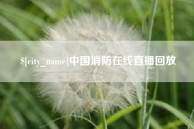 宁夏中国消防在线直播回放