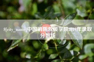 宁夏中国消防救援学院2019年录取分数线
