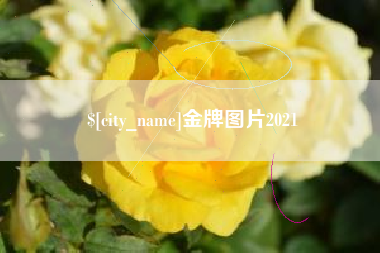 宁夏金牌图片2021