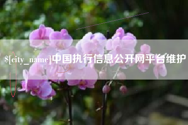 宁夏中国执行信息公开网平台维护