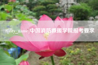 宁夏中国消防救援学院报考要求