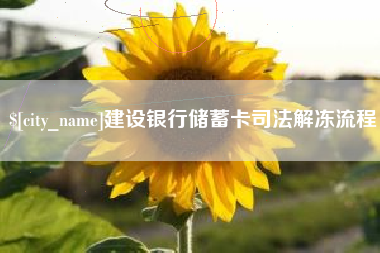 宁夏建设银行储蓄卡司法解冻流程