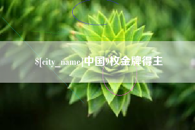 宁夏中国9枚金牌得主