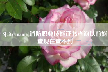 宁夏消防职业技能证书查询以前能查现在查不到