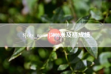 宁夏5000米及格成绩