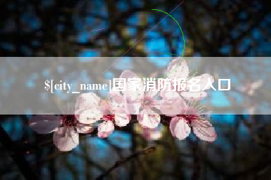 宁夏国家消防报名入口