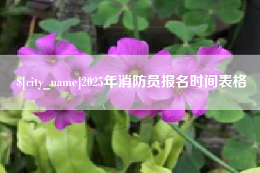 宁夏2025年消防员报名时间表格