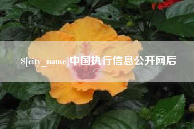 宁夏中国执行信息公开网后