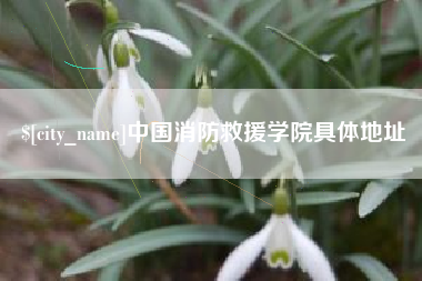 宁夏中国消防救援学院具体地址