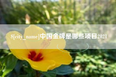 宁夏中国金牌是哪些项目2021