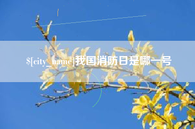 宁夏我国消防日是哪一号