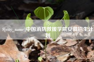 宁夏中国消防救援学院安徽招生计划