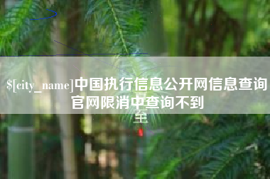 宁夏中国执行信息公开网信息查询官网限消中查询不到