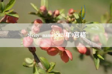 宁夏2021年9宫格