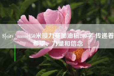 宁夏50米接力赛加油稿200字-传递着希望、力量和信念