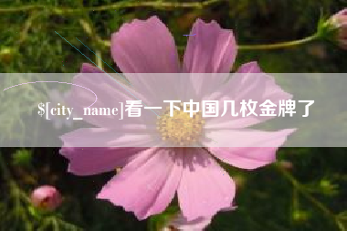 宁夏看一下中国几枚金牌了