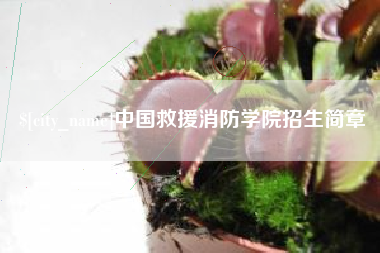 宁夏中国救援消防学院招生简章