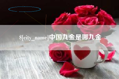 宁夏中国九金是哪九金