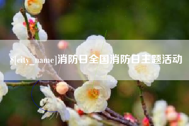 宁夏消防日全国消防日主题活动