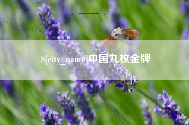 宁夏中国九枚金牌