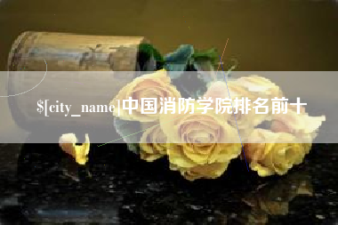 宁夏中国消防学院排名前十