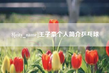 宁夏王子豪个人简介乒乓球