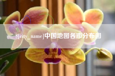 宁夏中国地图各市分布图