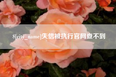 宁夏失信被执行官网查不到