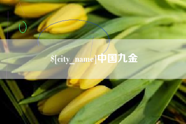 宁夏中国九金