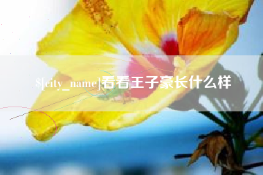 宁夏看看王子豪长什么样