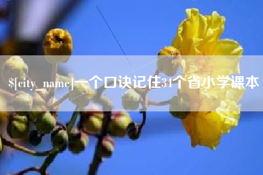 宁夏一个口诀记住34个省小学课本