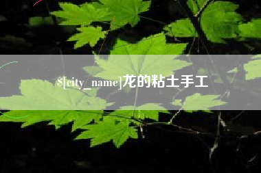 宁夏龙的粘土手工