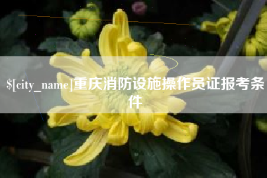 宁夏重庆消防设施操作员证报考条件
