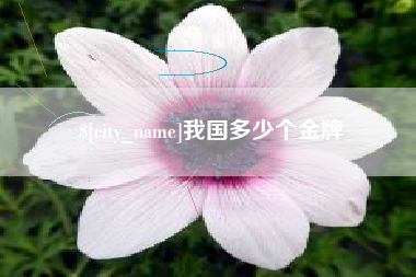 宁夏我国多少个金牌