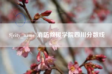 宁夏消防救援学院四川分数线