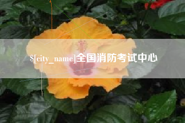 宁夏全国消防考试中心