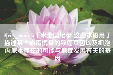宁夏5千米全国纪录-这些术语用于描述某些病毒携带的致癌基因以及细胞内原本存在的可能与癌症发展有关的基因