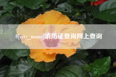 宁夏消防证查询网上查询