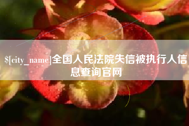宁夏全国人民法院失信被执行人信息查询官网