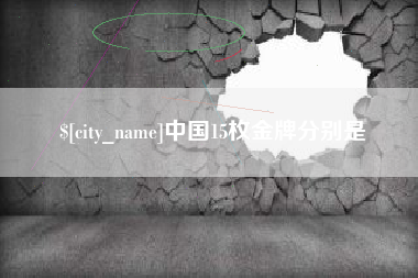 宁夏中国15枚金牌分别是