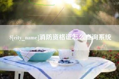 宁夏消防资格证怎么查询系统