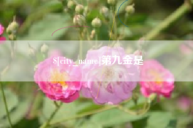 宁夏第九金是