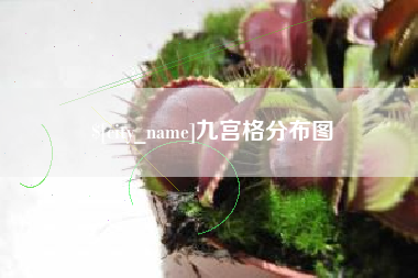 宁夏九宫格分布图