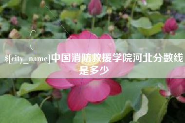 宁夏中国消防救援学院河北分数线是多少