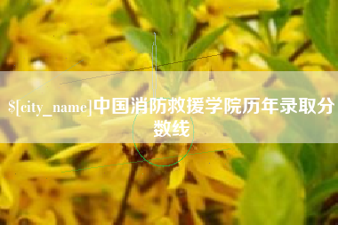宁夏中国消防救援学院历年录取分数线
