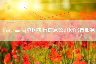 宁夏中国执行信息公开网官方服务