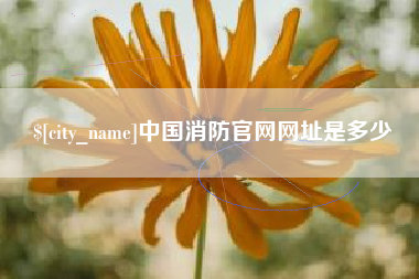 宁夏中国消防官网网址是多少