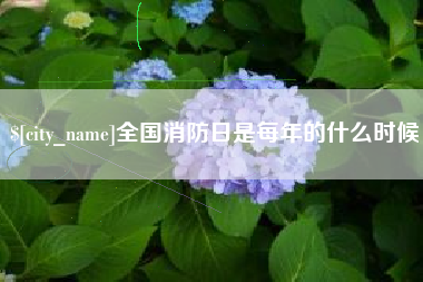 宁夏全国消防日是每年的什么时候