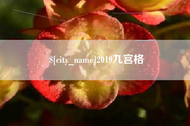 宁夏2019九宫格
